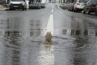 Sewer Backup - St Ann, MO - June 29, 2025