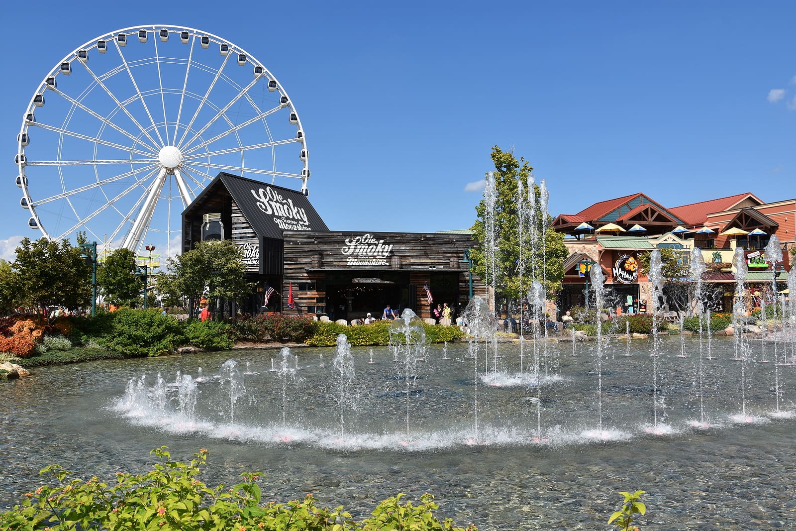 How Local Culture and Quirky Attractions Shape Memorable Vacations