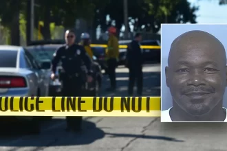 darryl collins los angeles