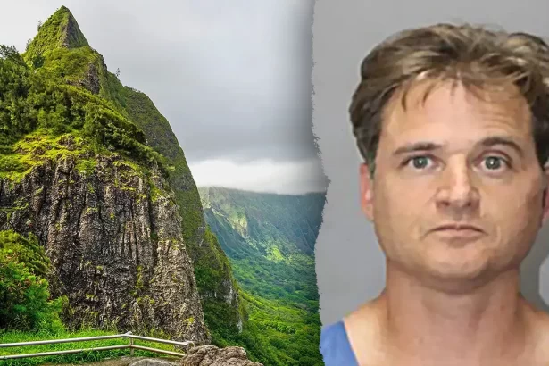 gerhardt konig hawaii