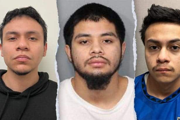 ms 13 gang members fox news 01
