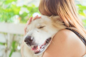 Seeking urgent veterinary care for your pet: When and how to respond