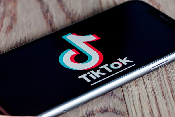 How to Build TikTok Followers Without Waiting Months