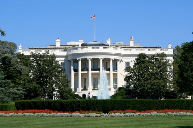 FAILING AT THE GATES: White House Checkpoint Shooting Exposes Systemic Institutional Collapse
