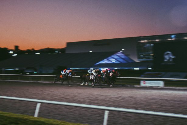 The 2026 Stakes: Why These Preakness Longshots Are Gaining Attention
