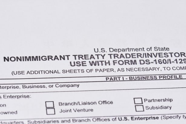 The Investor Visa in UAE Free Zones: What founders need to know