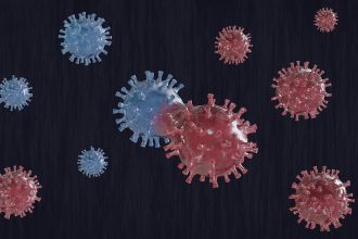 Hantavirus Outbreak at Sea Raises Global Health Concerns in 2026