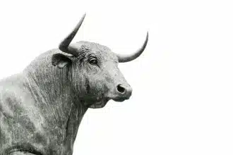 Borrowed cash fueled the stock rally