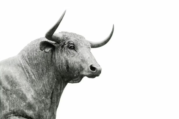 Borrowed cash fueled the stock rally